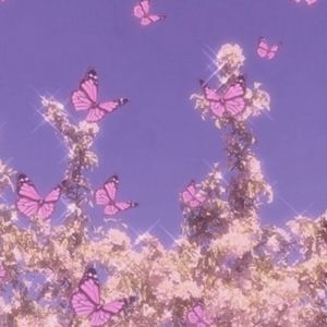 Meet your Posher, Nayibe